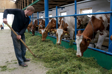 В России начались торги животными через электронный сервис 